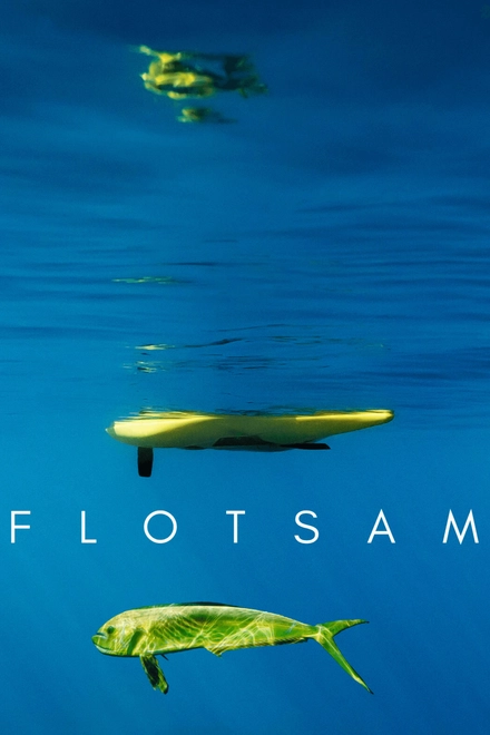 Flotsam