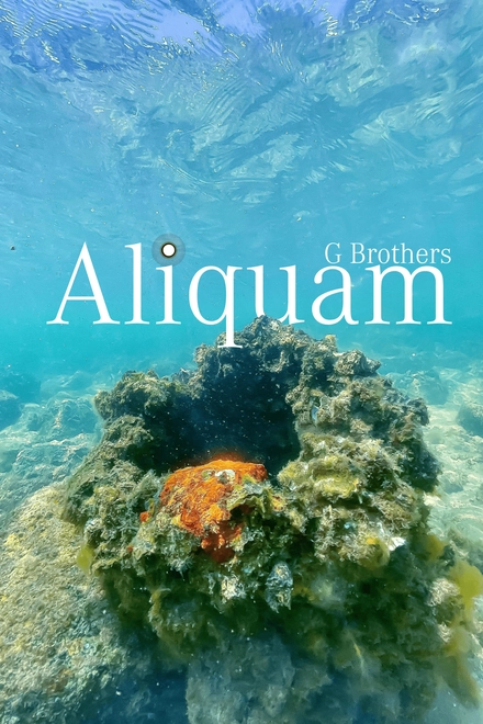 Aliquam: G Brothers