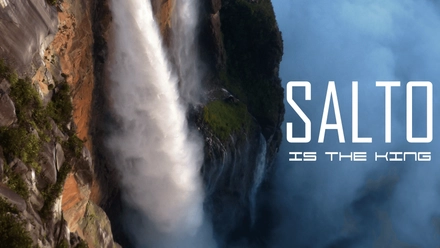 Salto Is The King