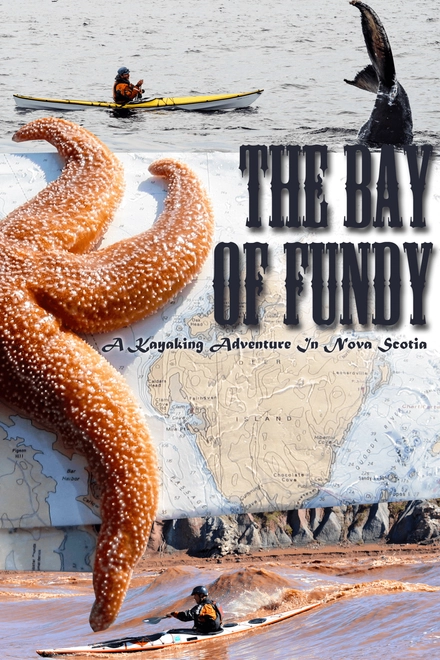 The Bay Of Fundy: A Kayaking Adventure In Nova Scotia