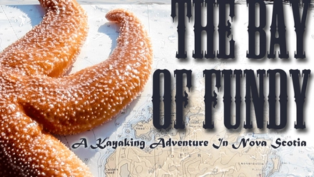 The Bay Of Fundy: A Kayaking Adventure In Nova Scotia