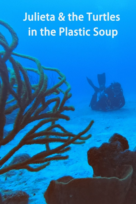 Julieta & The Turtles In The Plastic Soup (English Burn-In)