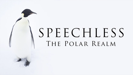 Speechless: The Polar Realm