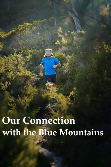 Our Connection With The Blue Mountains