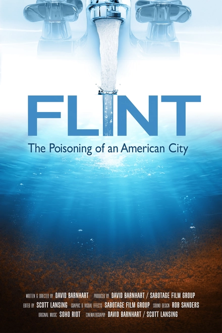 Flint: The Poisoning of an American City