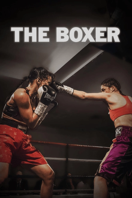 The Boxer