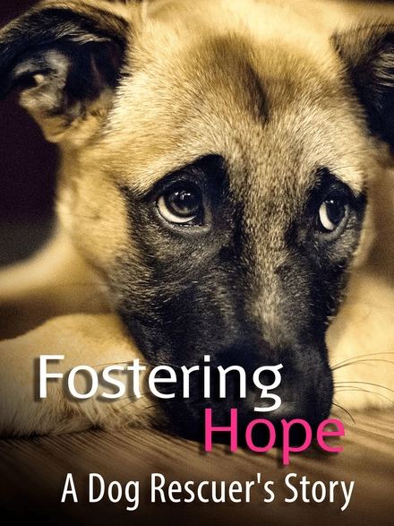 Fostering Hope: A Dog Rescuer's Story