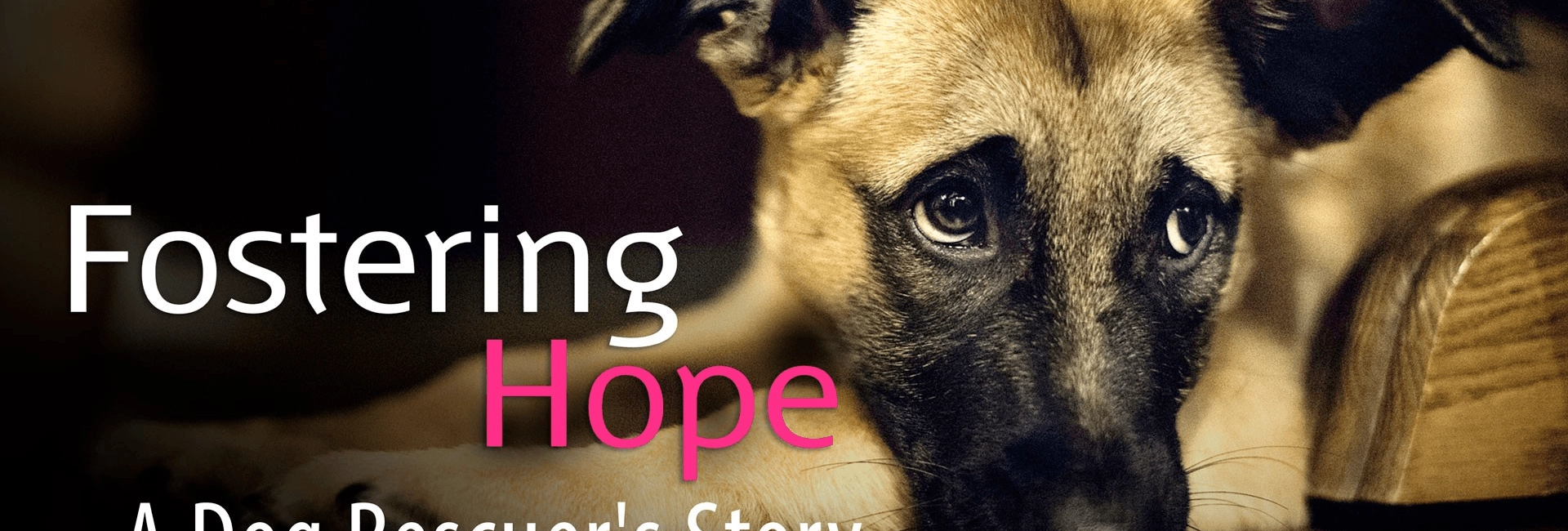 Fostering Hope: A Dog Rescuer's…