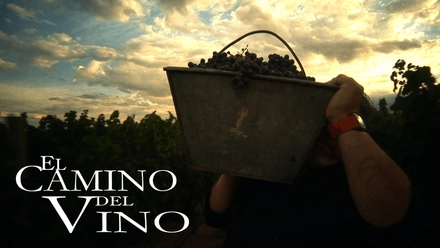 El Camino Del Vino