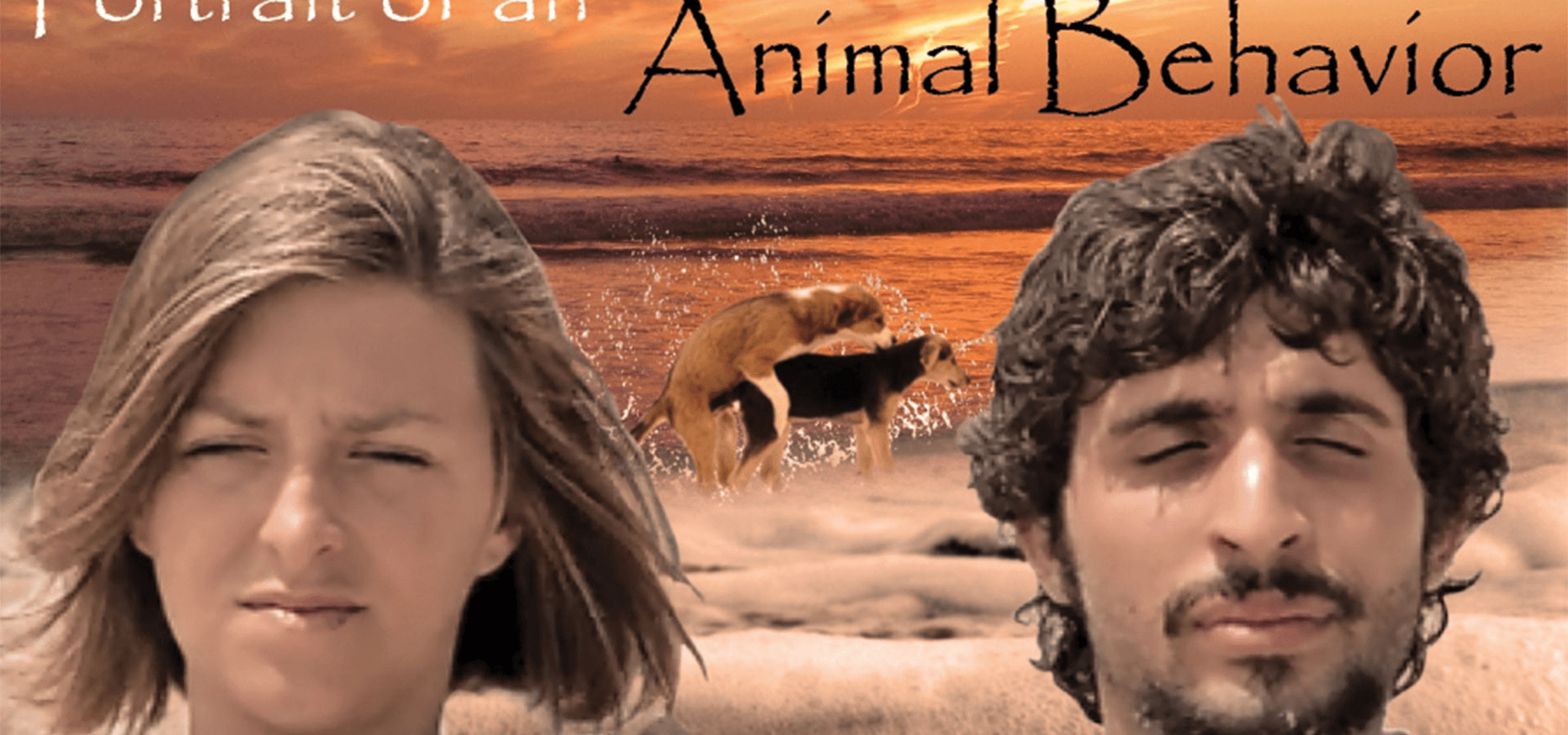 Portrait Of An Animal Behavior (English Burn-In)