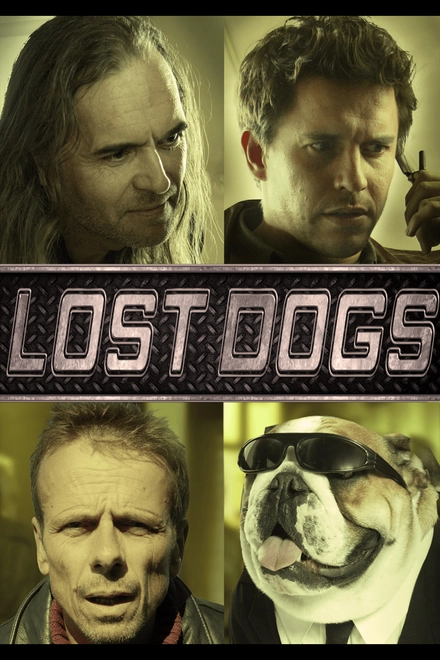 Lost Dogs