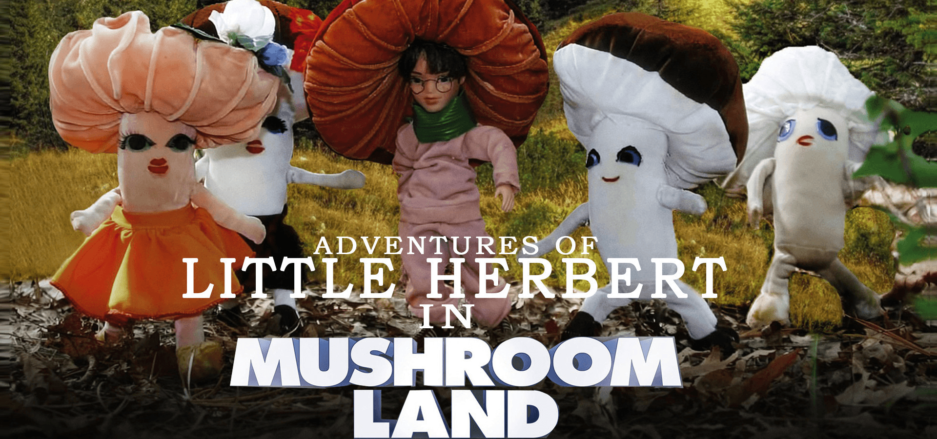 The Adventures Of Little Herbert In Mushroom Land