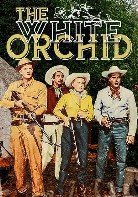 The White Orchid